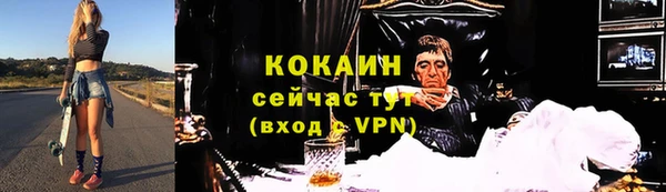 PSILOCYBIN Елизово