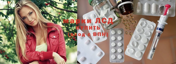 PSILOCYBIN Елизово